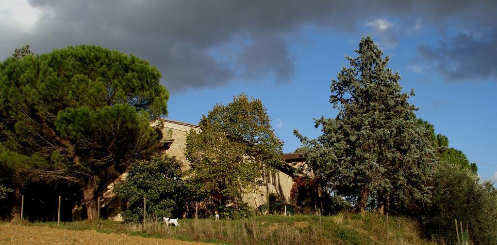 B&B Della Rosa Civitella D'Arna Εξωτερικό φωτογραφία