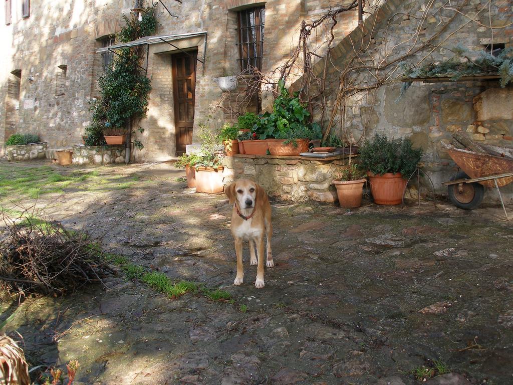 B&B Della Rosa Civitella D'Arna Εξωτερικό φωτογραφία